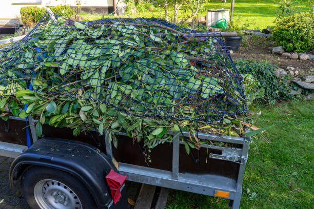 Best Yard Waste Removal  in Eagle Grove, IA